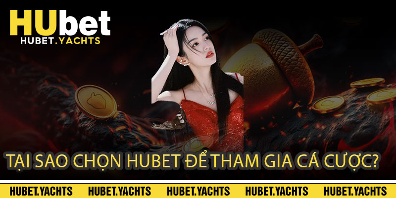 Tại Sao Chọn Hubet Để Tham Gia Cá Cược?